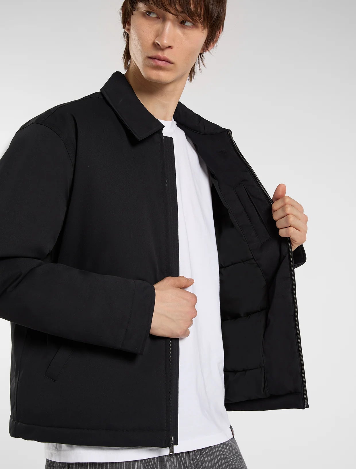 Dickies piumino Eisenhower