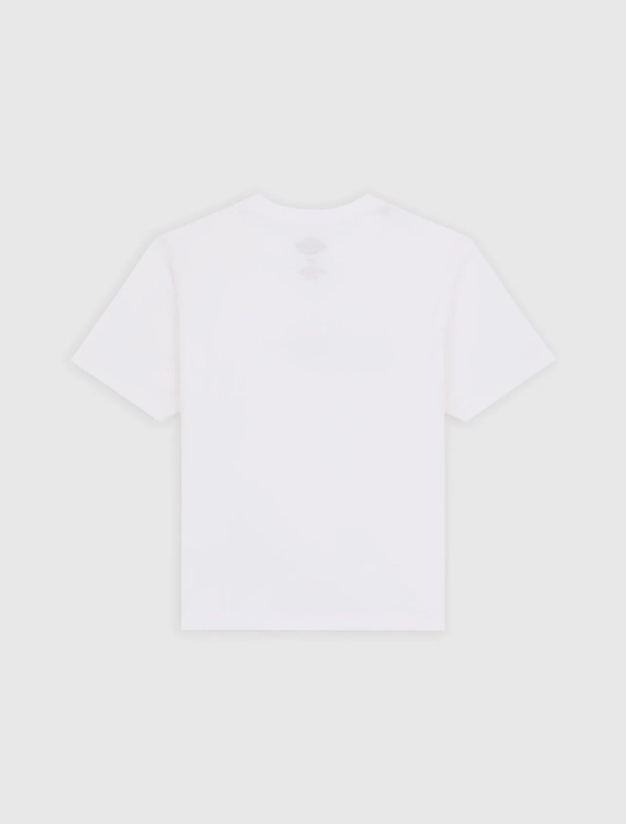 dickies maple valley reg tee white