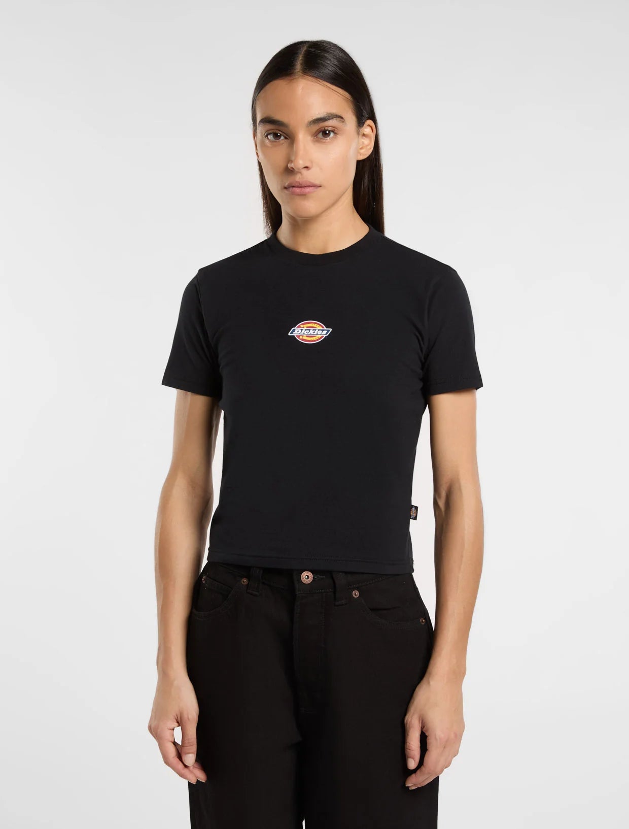 dickies maple valley reg tee black