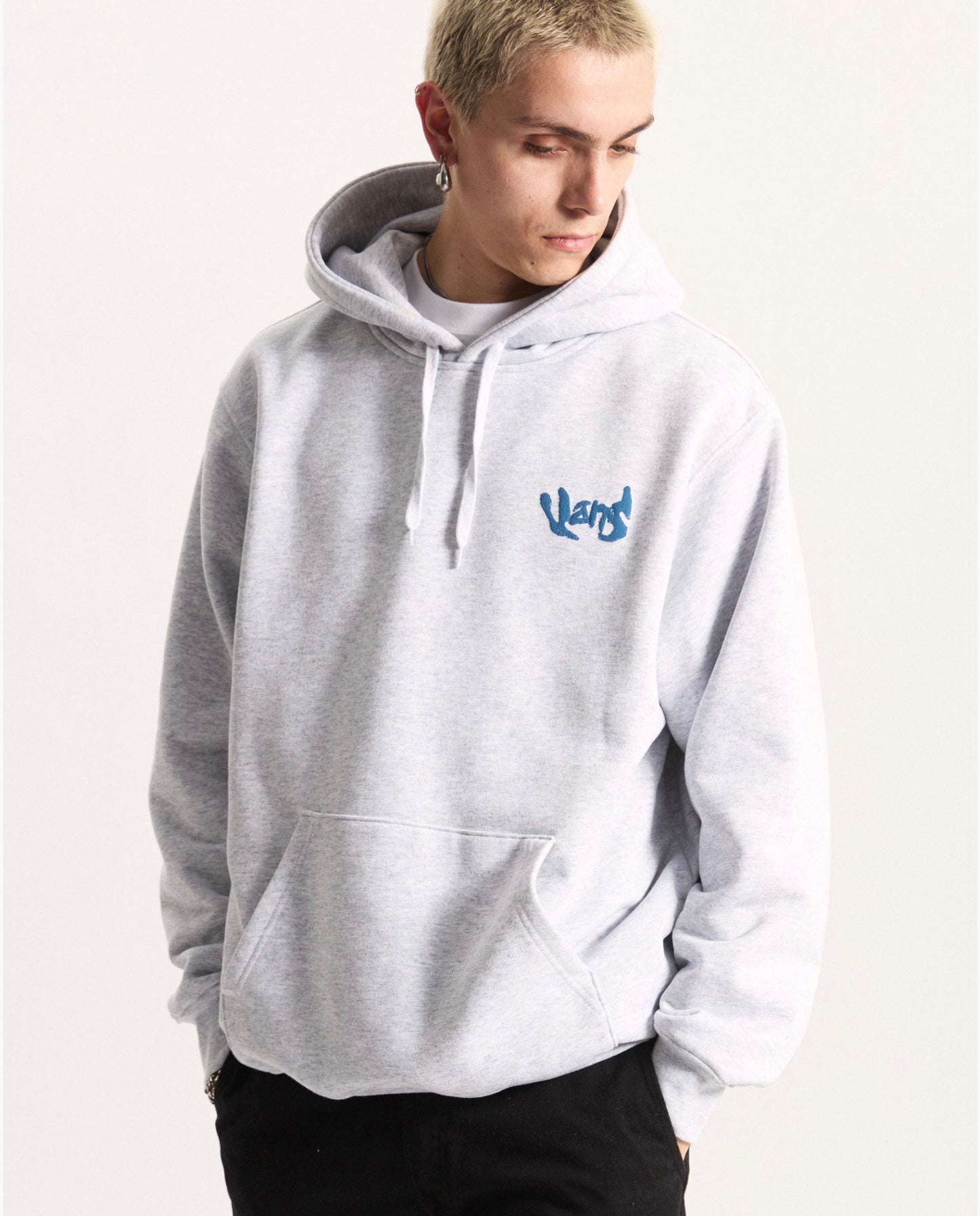 Vans evolve po hoodie