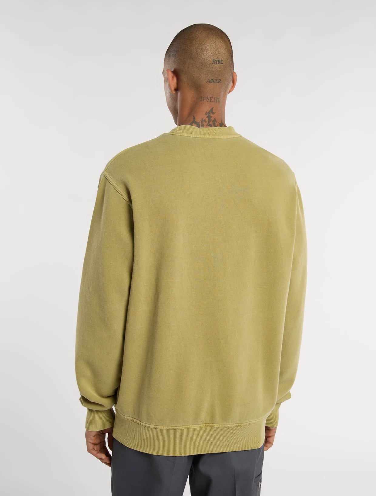 Dickies plentywood sweatshirt green