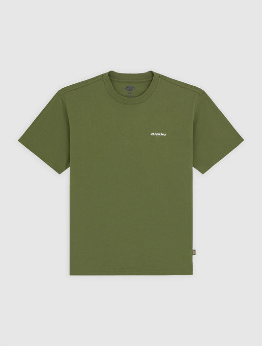 Dickies Loreto ss tee green