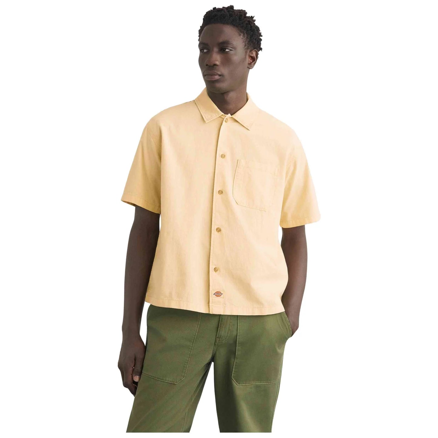 Dickies Vernal shirt ss wood ash