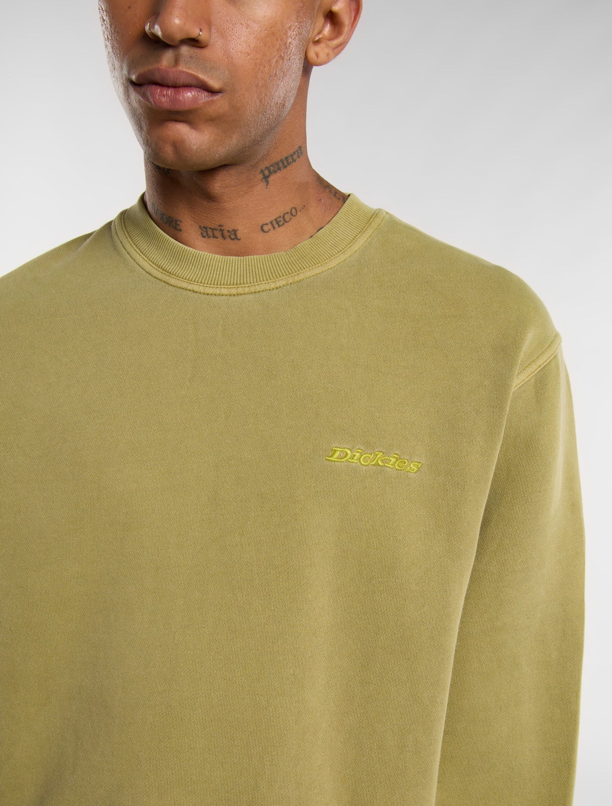 Dickies plentywood sweatshirt green