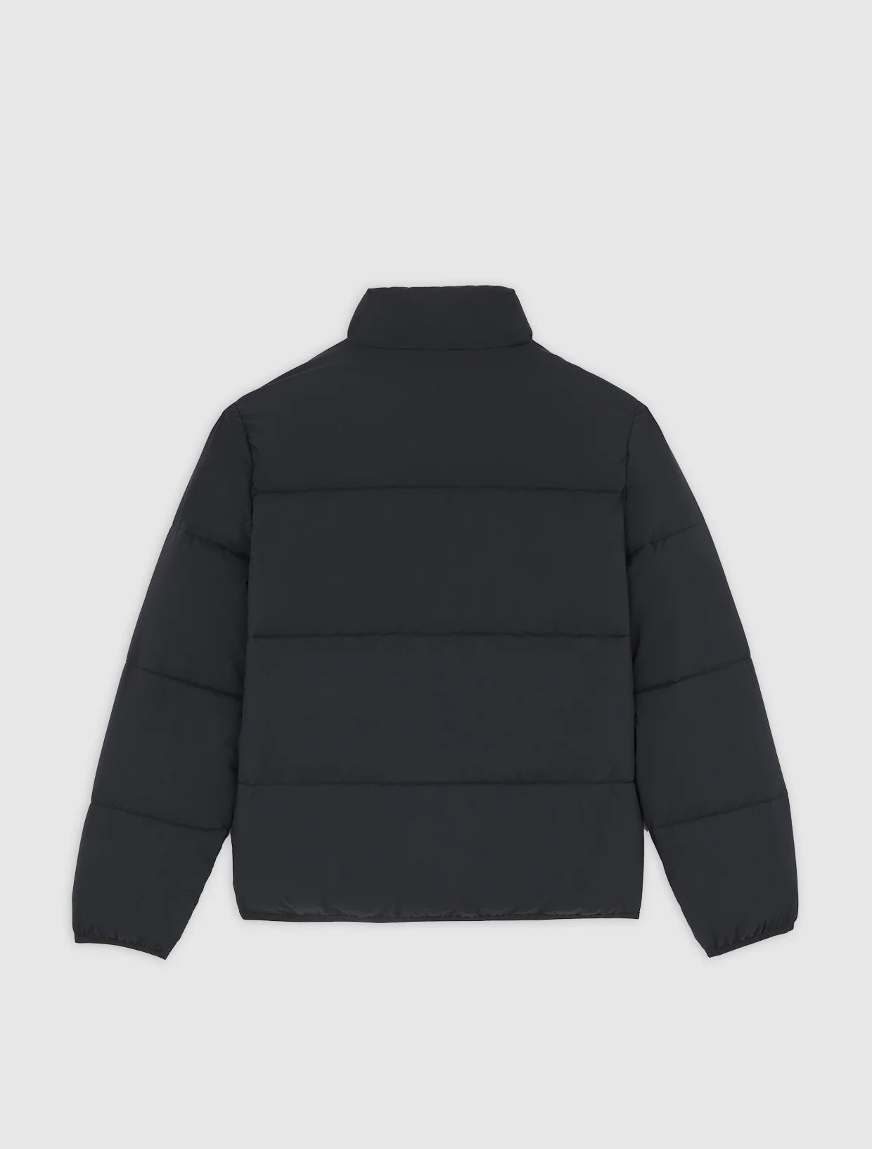 Dickies piumino Summerdale