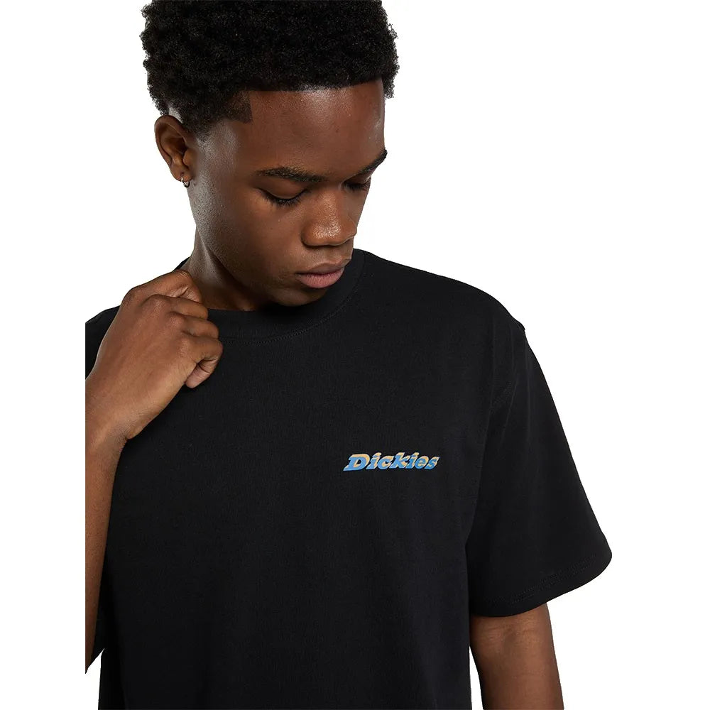 Dickies thornville ss tee black