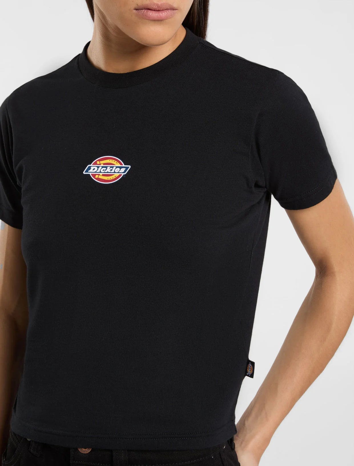 dickies maple valley reg tee black