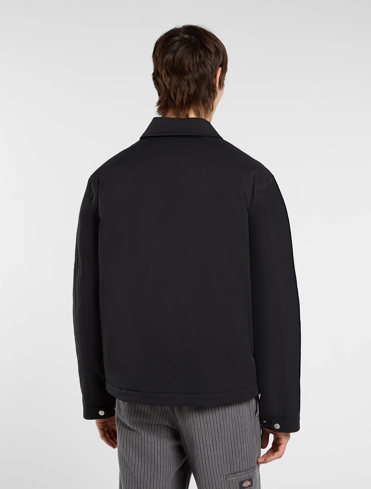 Dickies piumino Eisenhower