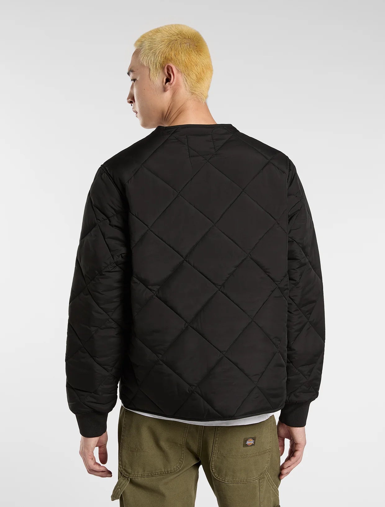 Dickies Giacca liner Samburg