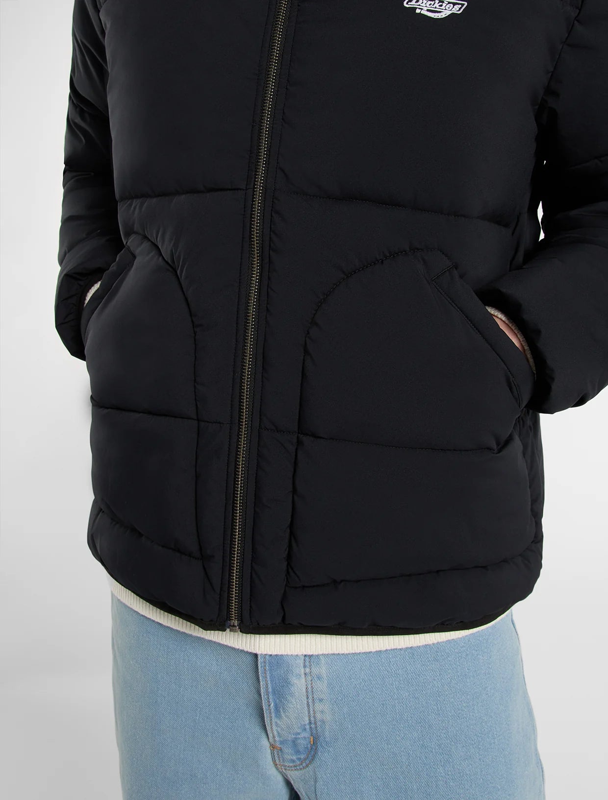 Dickies piumino Summerdale