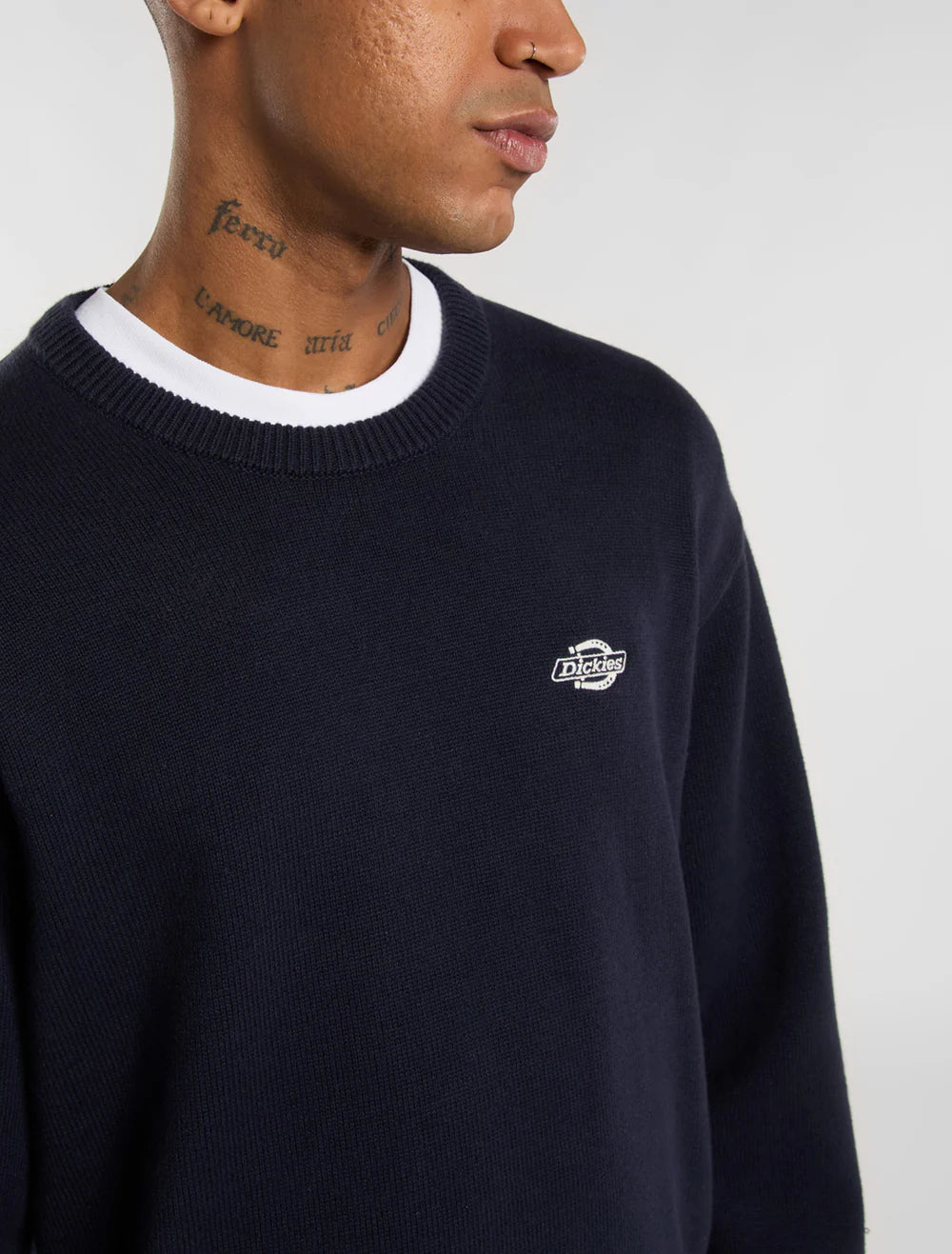 Dickies maglione Summerdale