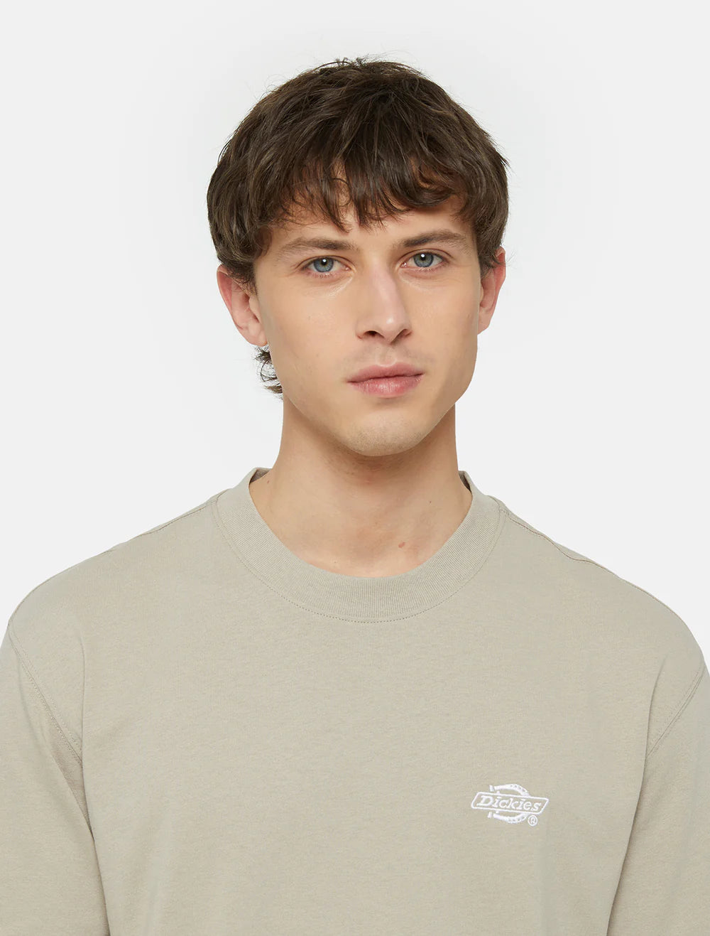 Dickies summerdale ss tee sand