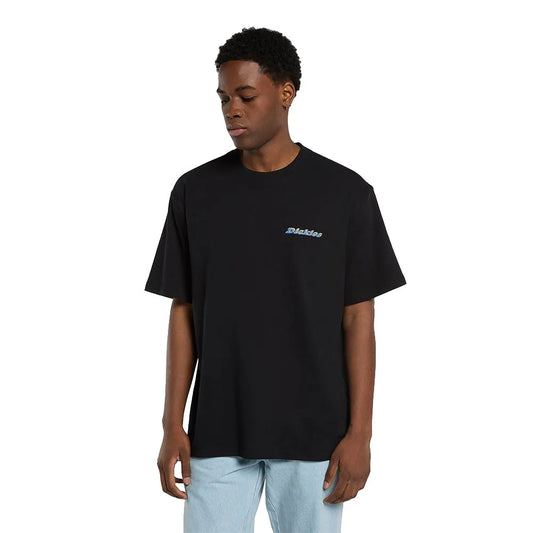Dickies thornville ss tee black