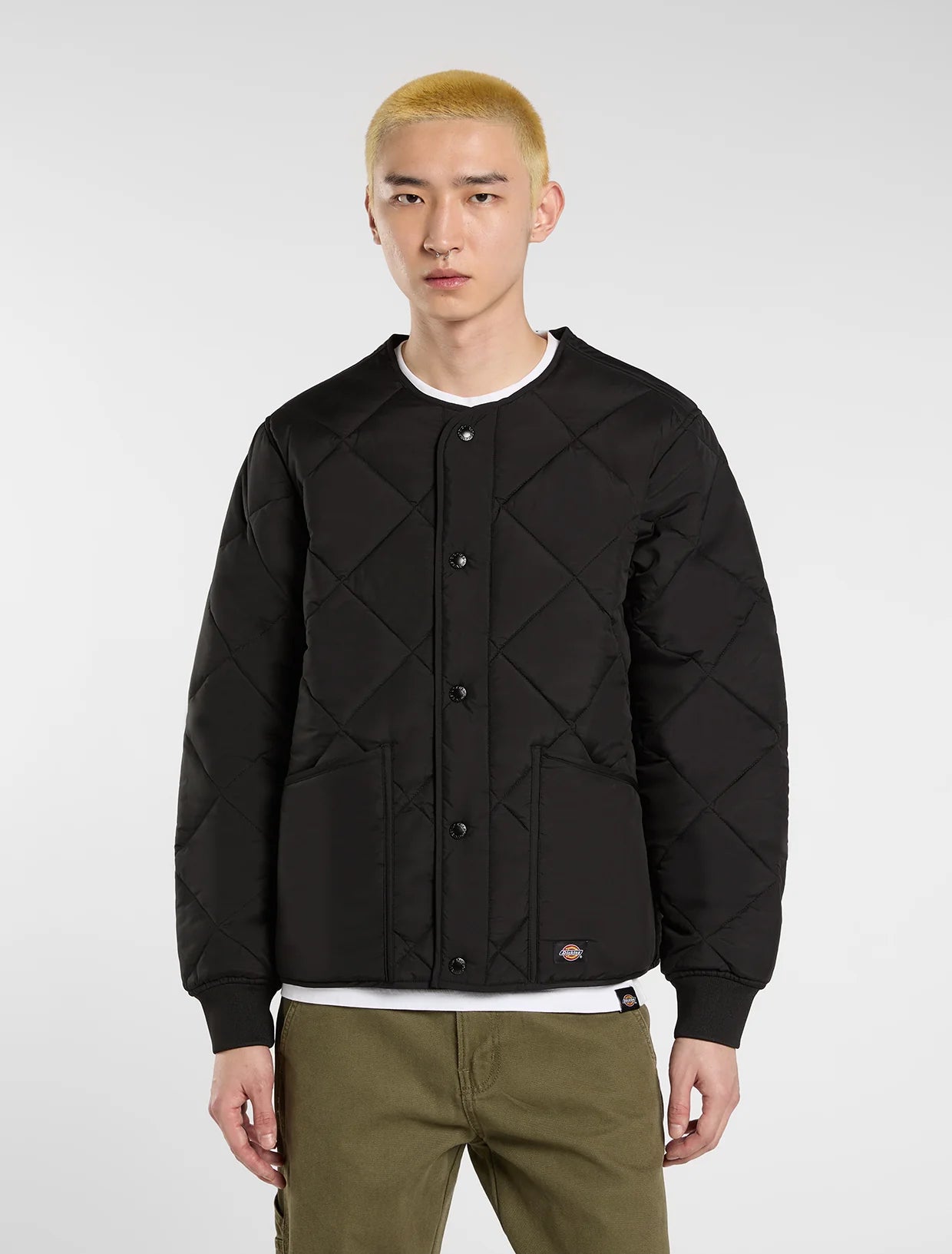 Dickies Giacca liner Samburg