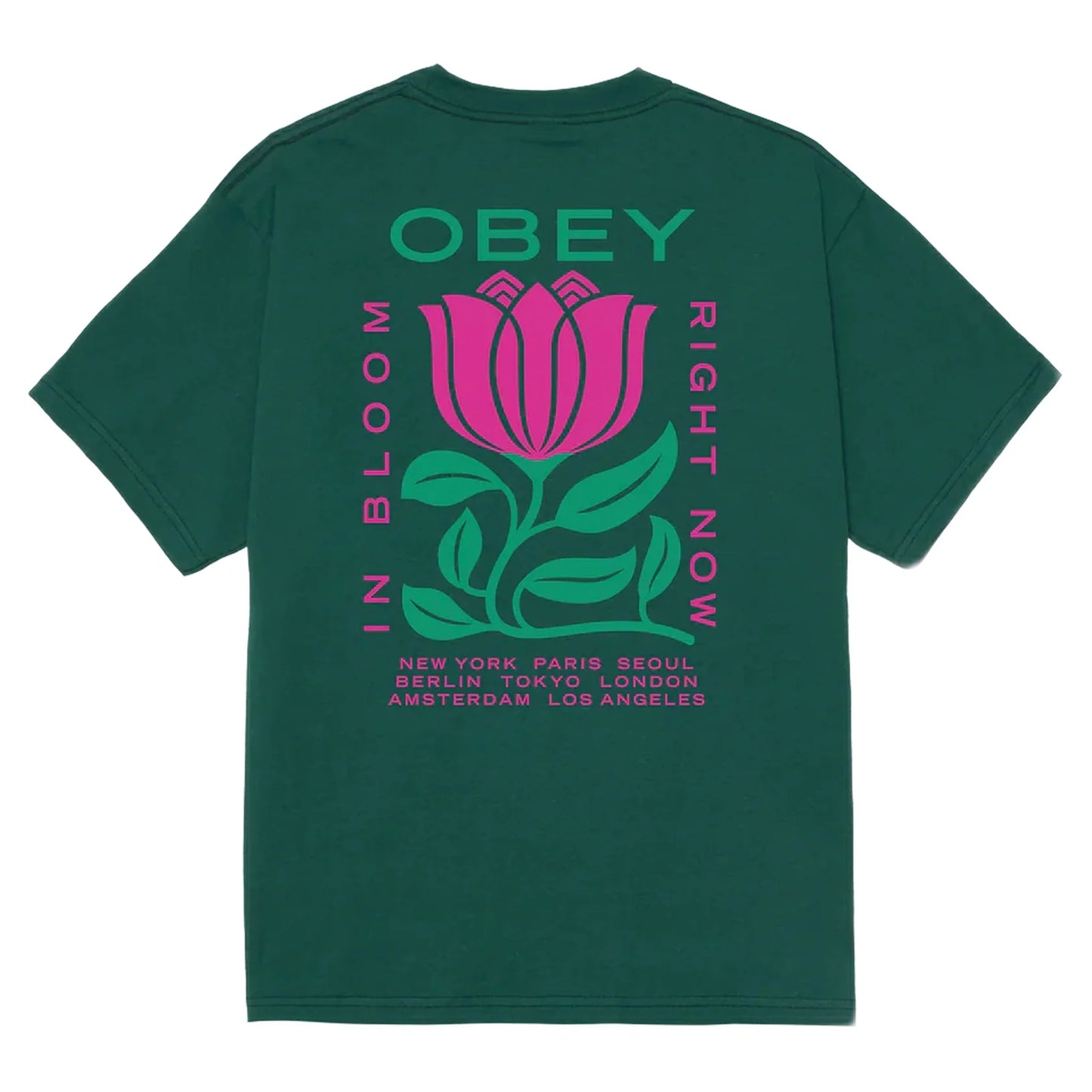 Obey in bloom