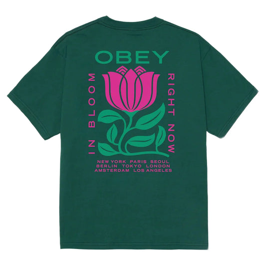 Obey in bloom