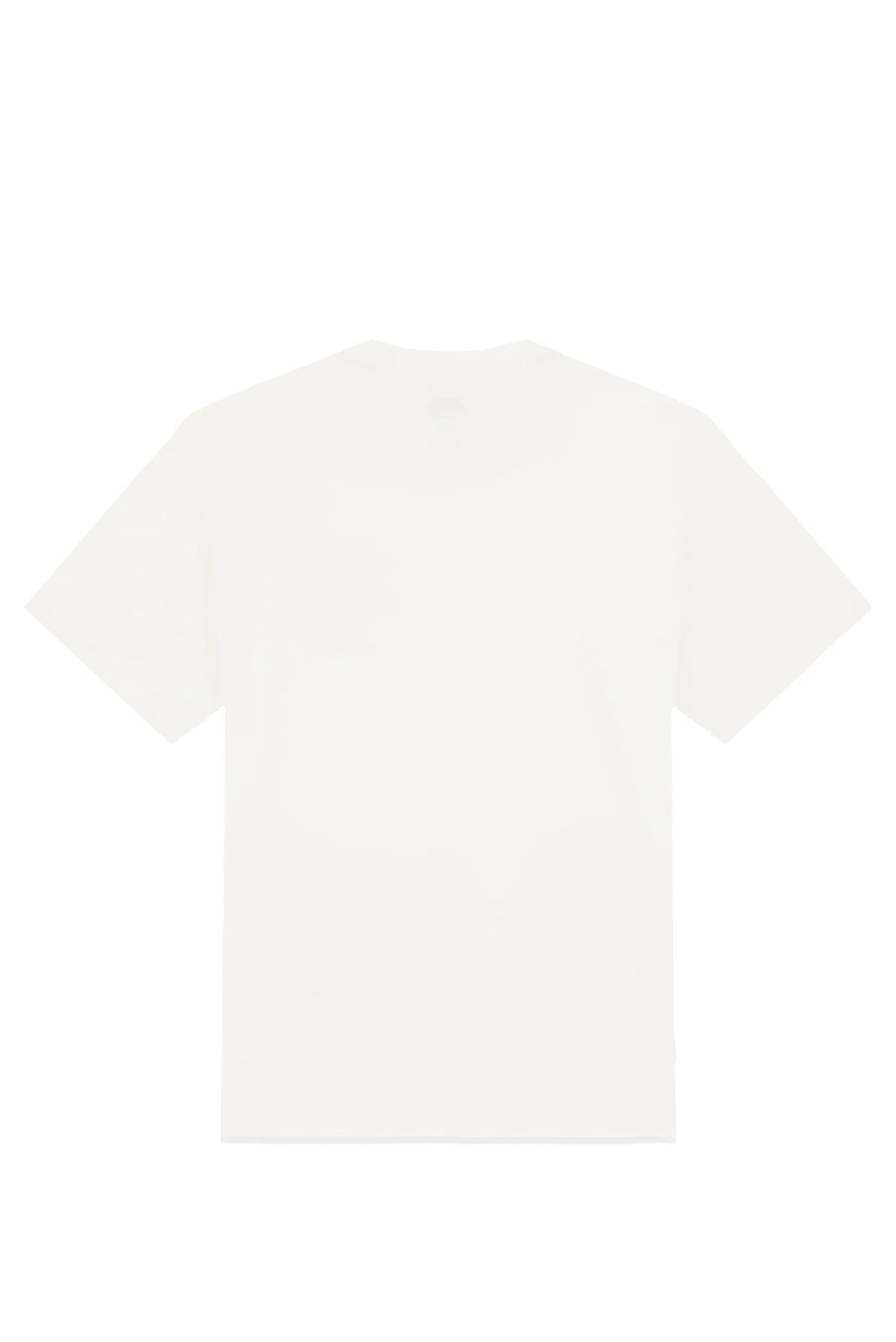 Dickies lynndyl ss tee egret
