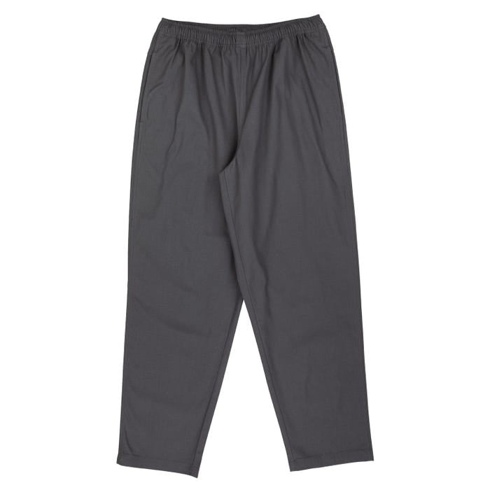 SANTA CRUZ TAB PANT IRON